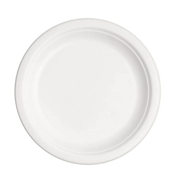10 Inch Plate - yuppeco