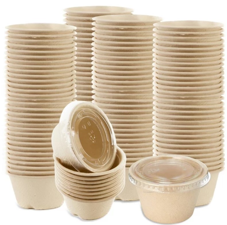 20z with plastic lids